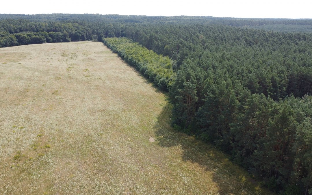 Klimawald Neustrelitz, © Landesforst MV