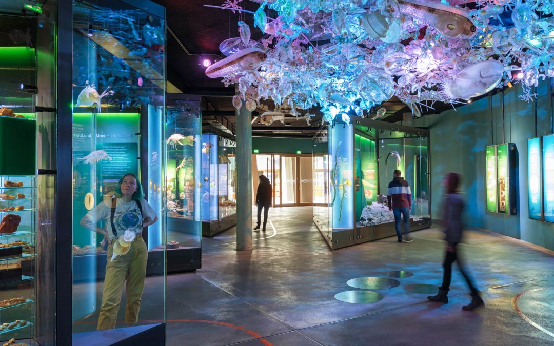 Die Ostsee-Ausstellung mit Planktonwolke im OZEANEUM, © Anke Neumeister/Deutsches Meeresmuseum